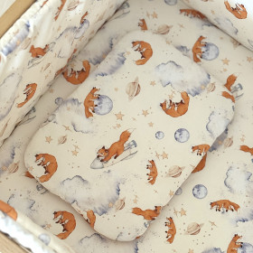 Coussin plat SpaceFox