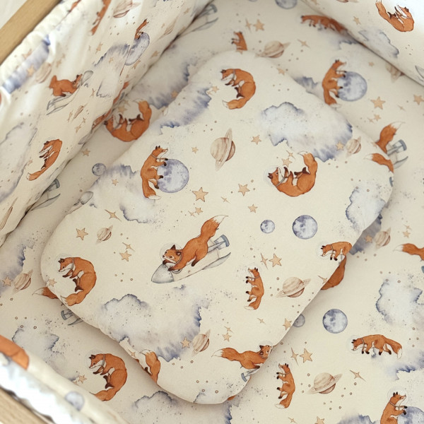 Coussin plat SpaceFox