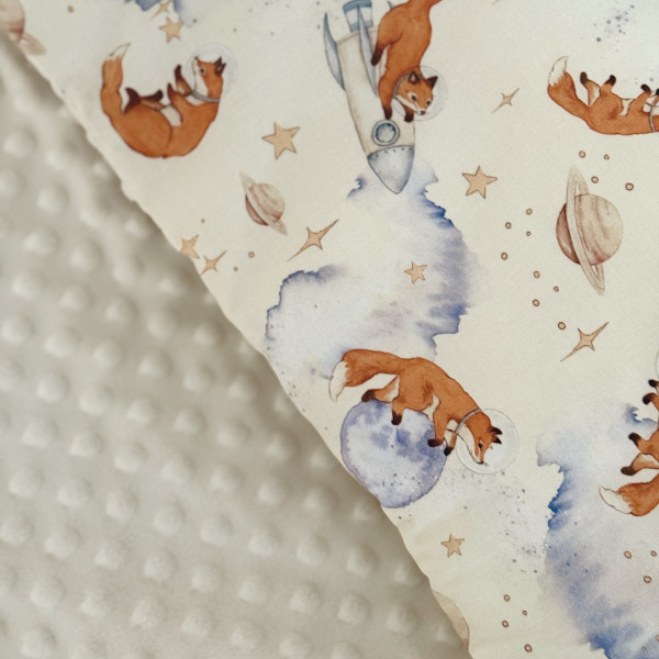 Coussin plat SpaceFox